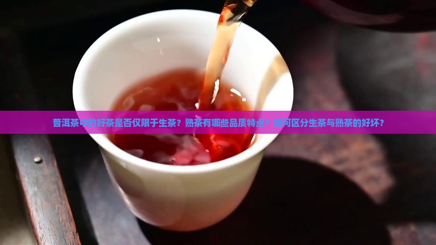 普洱茶中的好茶是否仅限于生茶？熟茶有哪些品质特点？如何区分生茶与熟茶的好坏？