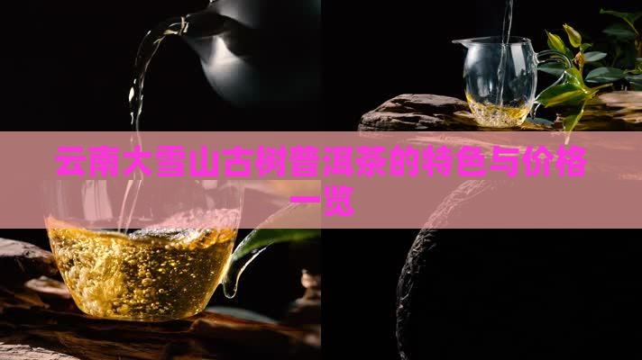 云南大雪山古树普洱茶的特色与价格一览