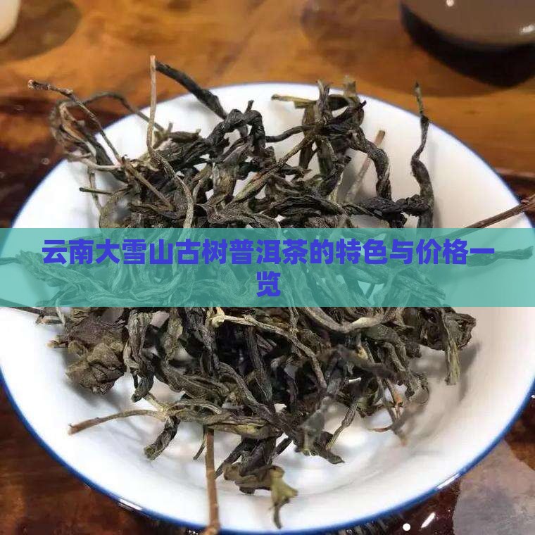 云南大雪山古树普洱茶的特色与价格一览