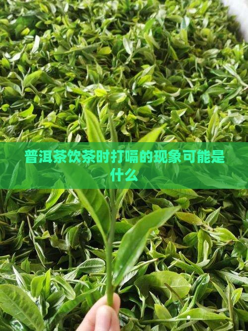 普洱茶饮茶时打嗝的现象可能是什么