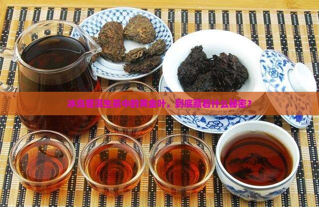冰岛普洱生茶中的黄金叶，到底藏着什么秘密？
