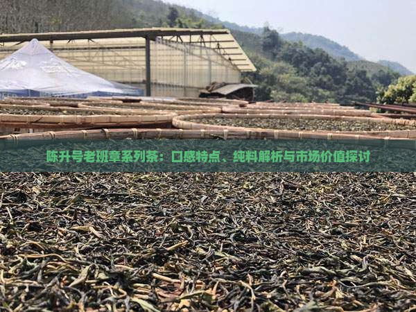 陈升号老班章系列茶：口感特点、纯料解析与市场价值探讨