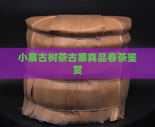 小寨古树茶古寨真品春茶鉴赏