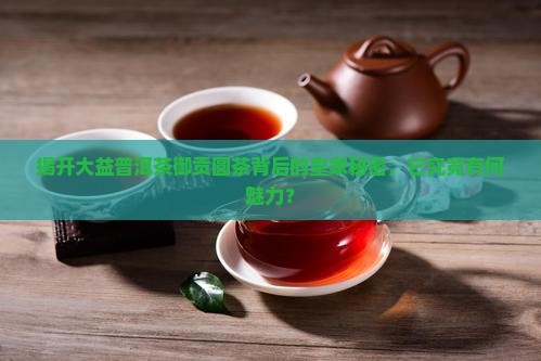 揭开大益普洱茶御贡圆茶背后的皇家秘密，它究竟有何魅力？