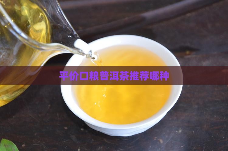 平价口粮普洱茶推荐哪种