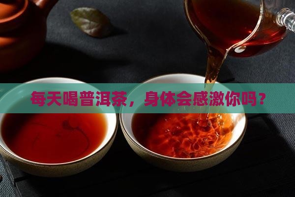 每天喝普洱茶，身体会感激你吗？