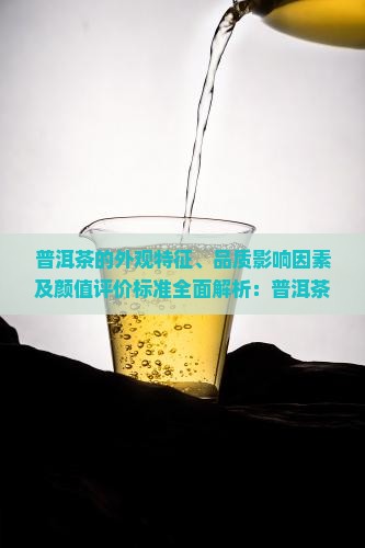 普洱茶的外观特征、品质影响因素及颜值评价标准全面解析：普洱茶颜值如何判断？为何颜值重要？如何提升普洱茶颜值？