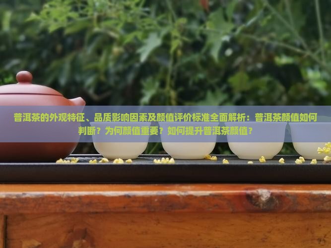 普洱茶的外观特征、品质影响因素及颜值评价标准全面解析：普洱茶颜值如何判断？为何颜值重要？如何提升普洱茶颜值？