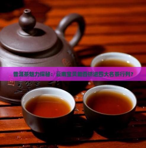 普洱茶魅力探秘：云南宝贝能否挤进四大名茶行列？
