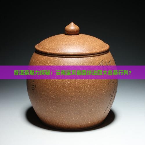 普洱茶魅力探秘：云南宝贝能否挤进四大名茶行列？
