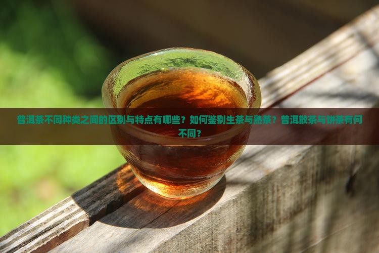 普洱茶不同种类之间的区别与特点有哪些？如何鉴别生茶与熟茶？普洱散茶与饼茶有何不同？