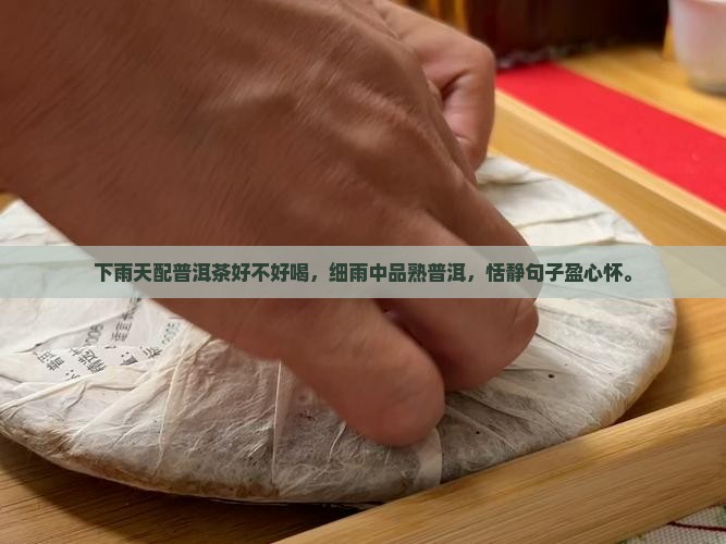 下雨天配普洱茶好不好喝，细雨中品熟普洱，恬静句子盈心怀。