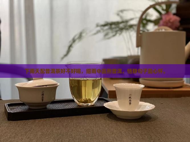 下雨天配普洱茶好不好喝，细雨中品熟普洱，恬静句子盈心怀。