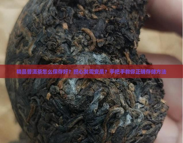 精品普洱茶怎么保存好？担心发霉变质？手把手教你正确存储方法