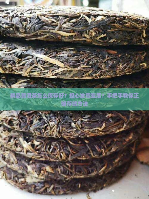 精品普洱茶怎么保存好？担心发霉变质？手把手教你正确存储方法