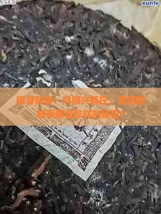 探寻茶香：鸿顺兴茶庄，普洱的故事藏着怎样的秘密？
