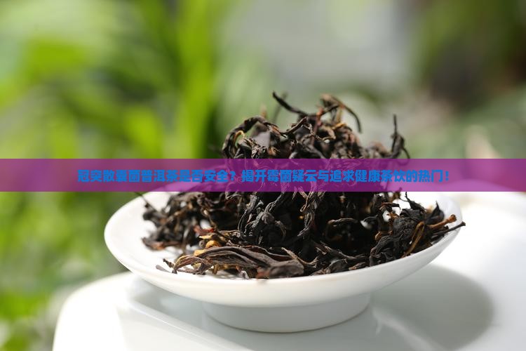 冠突散囊菌普洱茶是否安全？揭开霉菌疑云与追求健康茶饮的热门！