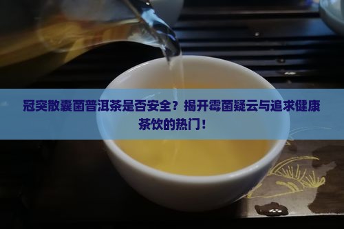 冠突散囊菌普洱茶是否安全？揭开霉菌疑云与追求健康茶饮的热门！