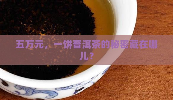 五万元，一饼普洱茶的秘密藏在哪儿？