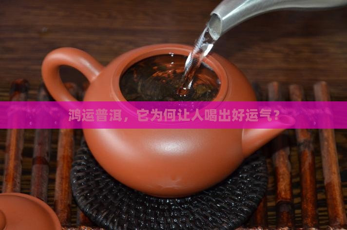 鸿运普洱，它为何让人喝出好运气？