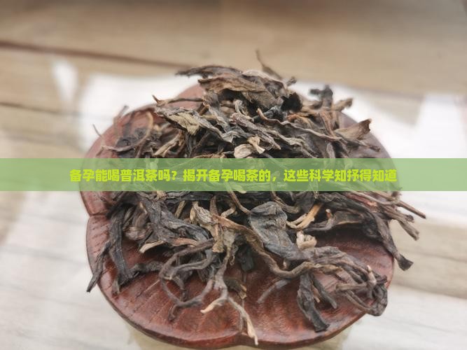 备孕能喝普洱茶吗？揭开备孕喝茶的，这些科学知抒得知道