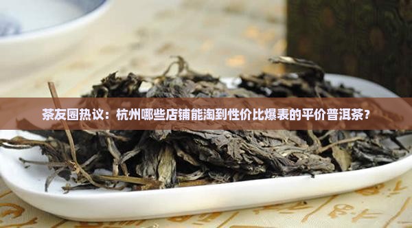 茶友圈热议：杭州哪些店铺能淘到性价比爆表的平价普洱茶？