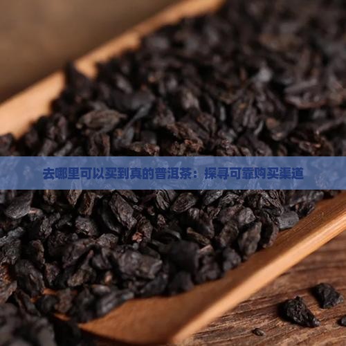 去哪里可以买到真的普洱茶：探寻可靠购买渠道