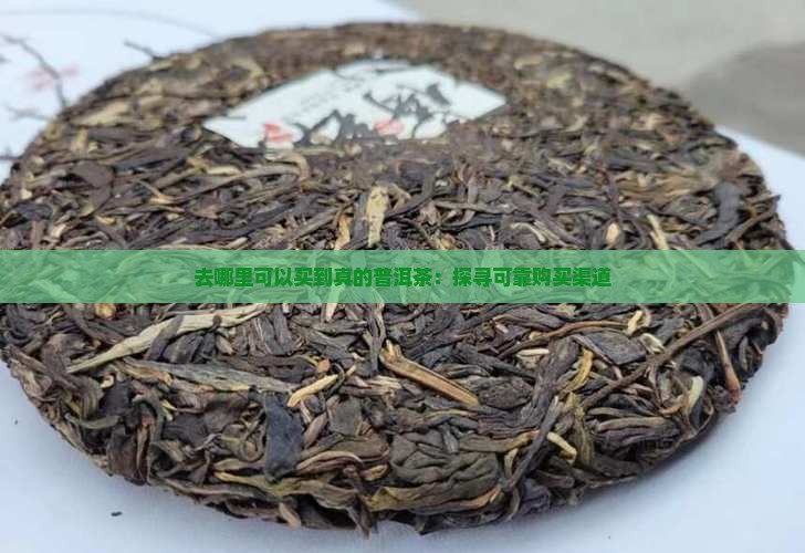 去哪里可以买到真的普洱茶：探寻可靠购买渠道