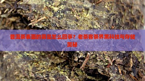 普洱茶表面的雾是怎么回事？老茶客茶界黑科技与存储奥秘