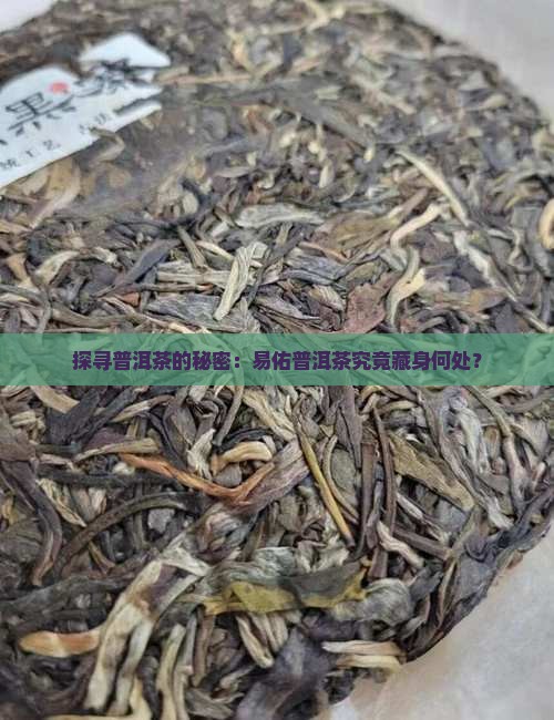 探寻普洱茶的秘密：易佑普洱茶究竟藏身何处？