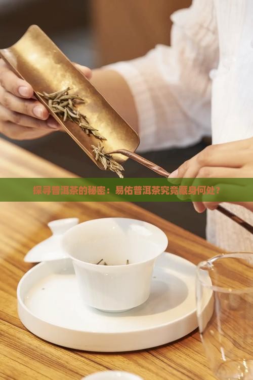 探寻普洱茶的秘密：易佑普洱茶究竟藏身何处？