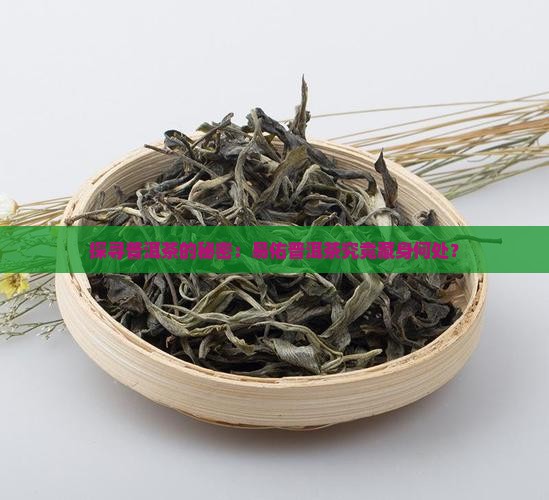 探寻普洱茶的秘密：易佑普洱茶究竟藏身何处？