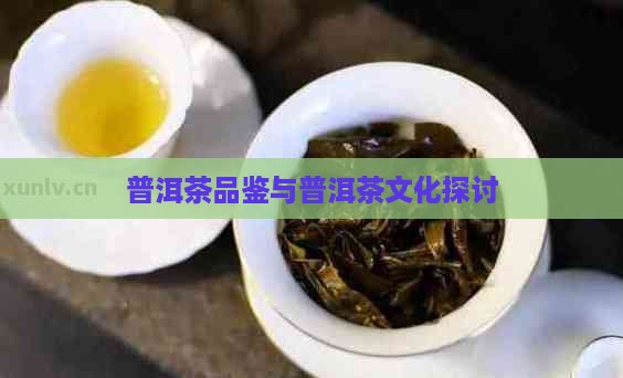 普洱茶品鉴与普洱茶文化探讨