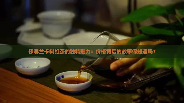 探寻兰卡树红茶的独特魅力：价格背后的故事你知道吗？