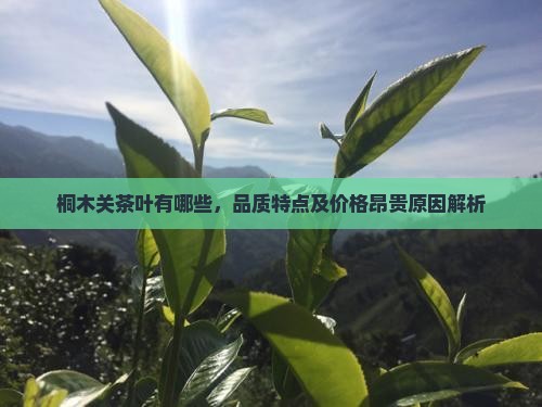 桐木关茶叶有哪些，品质特点及价格昂贵原因解析