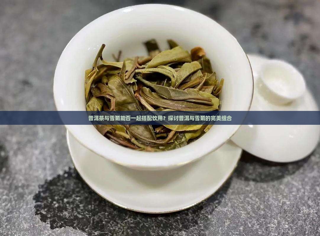 普洱茶与雪菊能否一起搭配饮用？探讨普洱与雪菊的完美组合