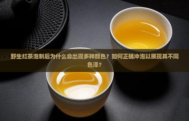 野生红茶泡制后为什么会出现多种颜色？如何正确冲泡以展现其不同色泽？