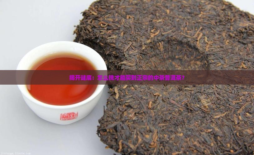 揭开谜底：怎么挑才能买到正宗的中茶普洱茶？