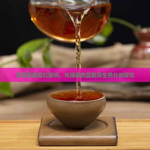 普洱茶都是红茶吗，与绿茶的区别及生熟分类探究