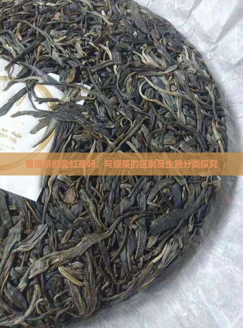 普洱茶都是红茶吗，与绿茶的区别及生熟分类探究