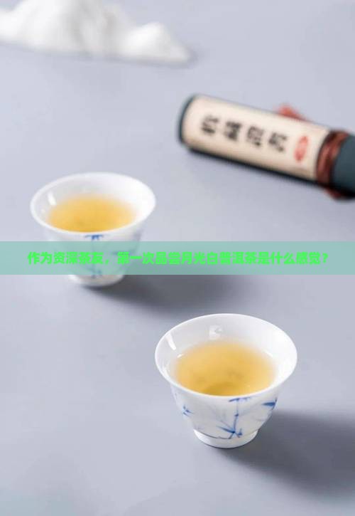 作为资深茶友，第一次品尝月光白普洱茶是什么感觉？