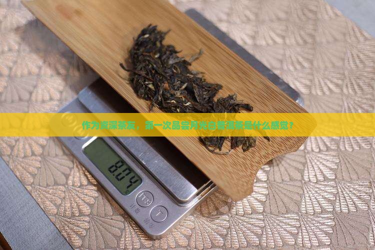 作为资深茶友，第一次品尝月光白普洱茶是什么感觉？