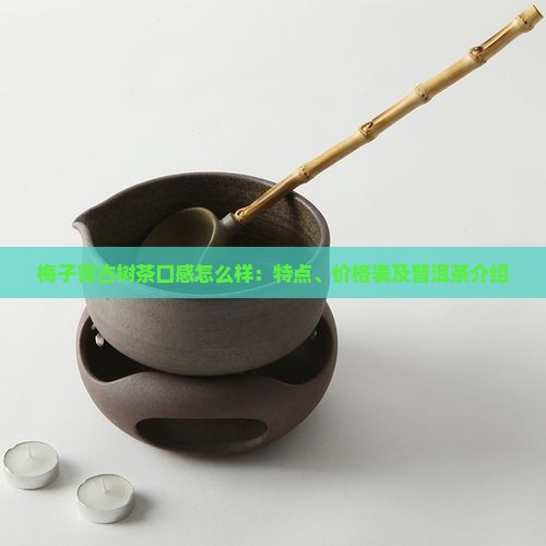 梅子箐古树茶口感怎么样：特点、价格表及普洱茶介绍