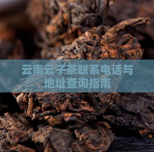 云南云子茶联系电话与地址查询指南
