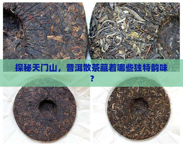 探秘天门山，普洱散茶藏着哪些独特韵味？