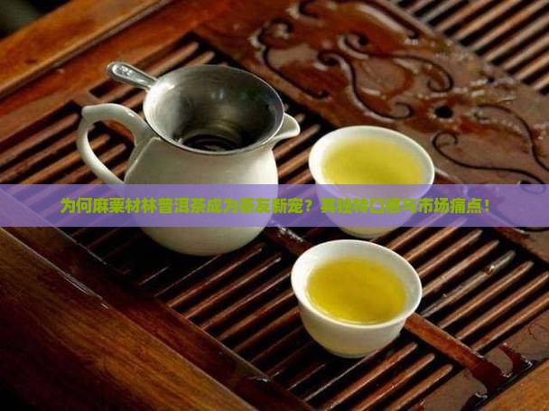 为何麻粟材林普洱茶成为茶友新宠？其独特口感与市场痛点！