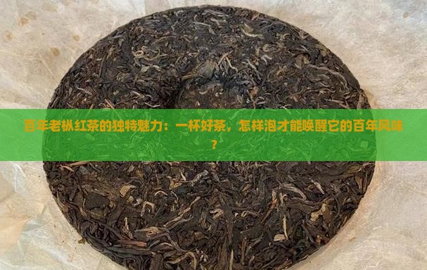 百年老枞红茶的独特魅力：一杯好茶，怎样泡才能唤醒它的百年风味？