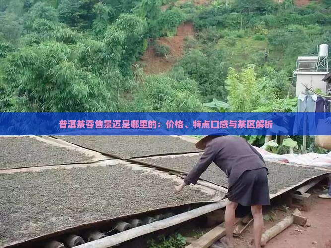 普洱茶零售景迈是哪里的：价格、特点口感与茶区解析