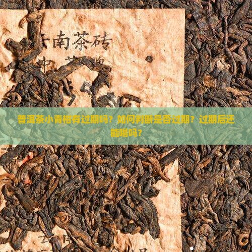 普洱茶小青柑有过期吗？如何判断是否过期？过期后还能喝吗？