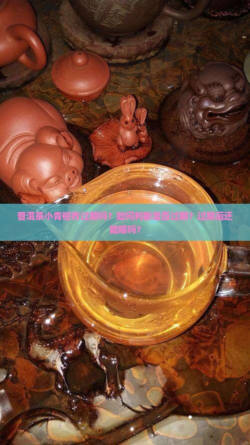 普洱茶小青柑有过期吗？如何判断是否过期？过期后还能喝吗？